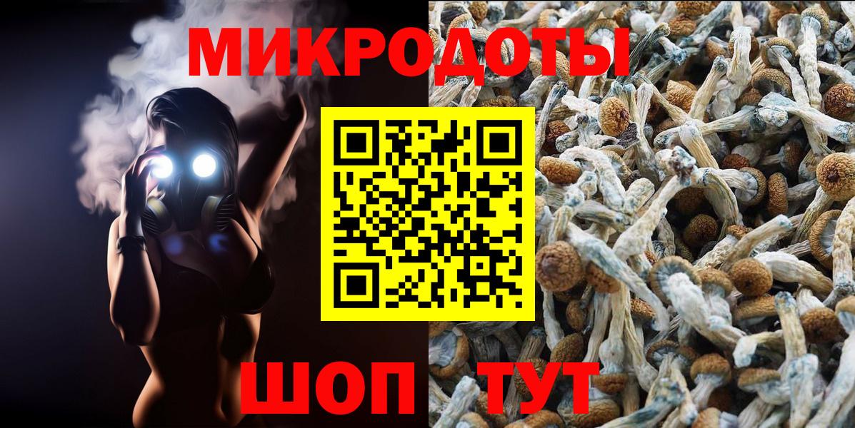 Галлюциногенные грибы мицелий Анапа