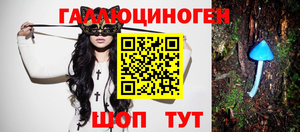 Анапа  Галлюциногенные грибы Cubensis  Вход с VPN 